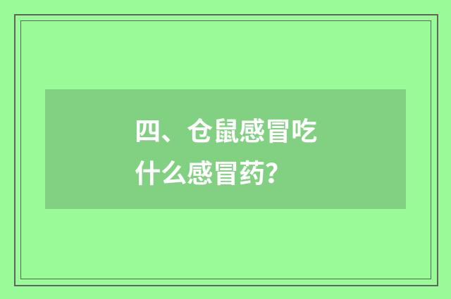 四、仓鼠感冒吃什么感冒药?