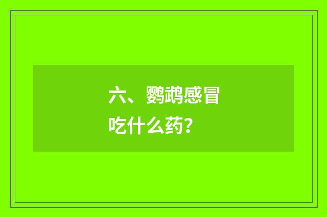 六、鹦鹉感冒吃什么药？