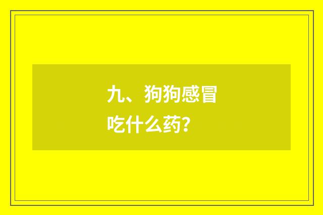 九、狗狗感冒吃什么药?
