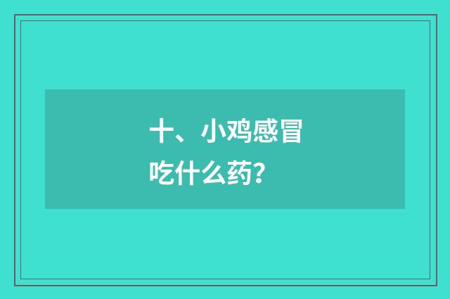 十、小鸡感冒吃什么药?