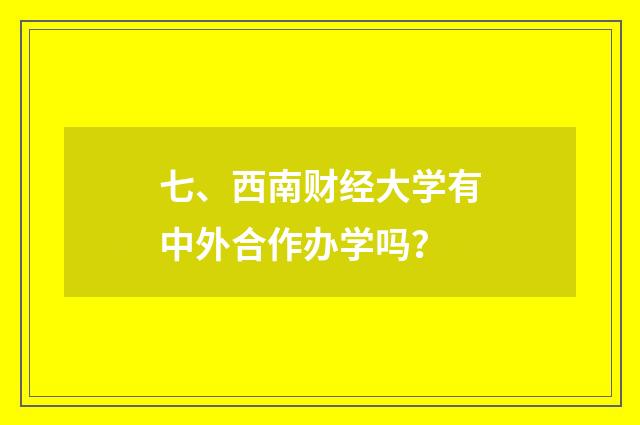 七、西南财经大学有中外合作办学吗?