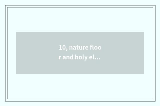 10, nature floor and holy elephant floor which good? How is nature floor differe
