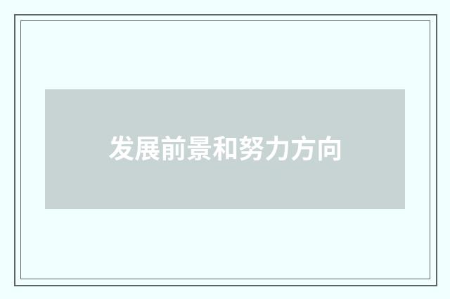 发展前景和努力方向