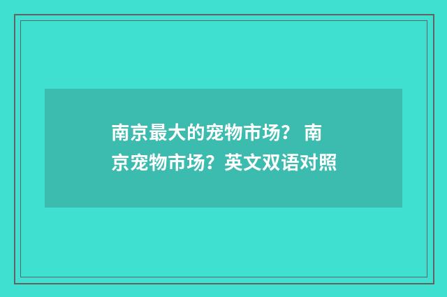 南京最大的宠物市场? 南京宠物市场?英文双语对照