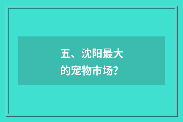 五、沈阳最大的宠物市场?