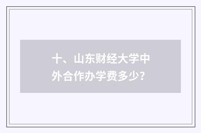 十、山东财经大学中外合作办学费多少？