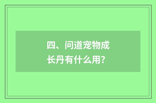 四、问道宠物成长丹有什么用?