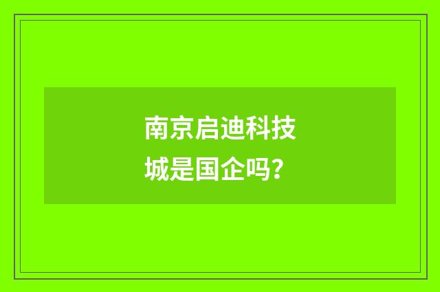 南京启迪科技城是国企吗？