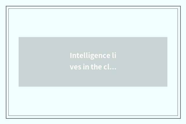 Intelligence lives in the classification of the product