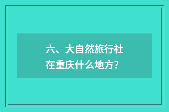 六、大自然旅行社在重庆什么地方？