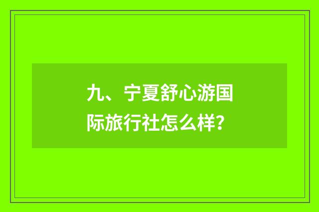 九、宁夏舒心游国际旅行社怎么样？