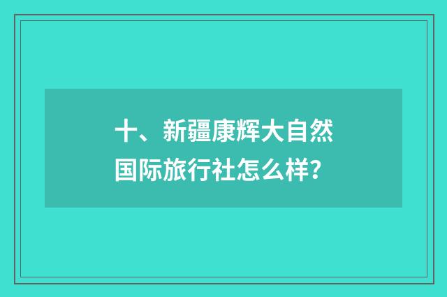 十、新疆康辉大自然国际旅行社怎么样？