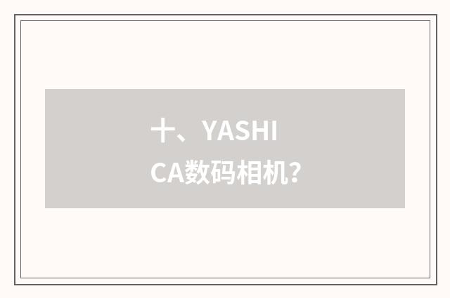 十、YASHICA数码相机？