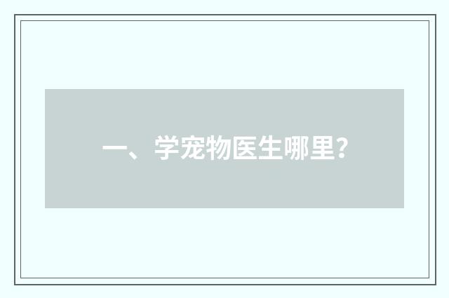 一、学宠物医生哪里？