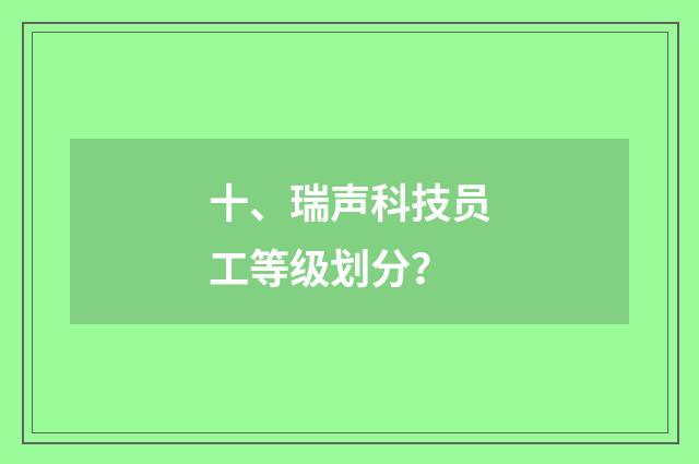 十、瑞声科技员工等级划分?