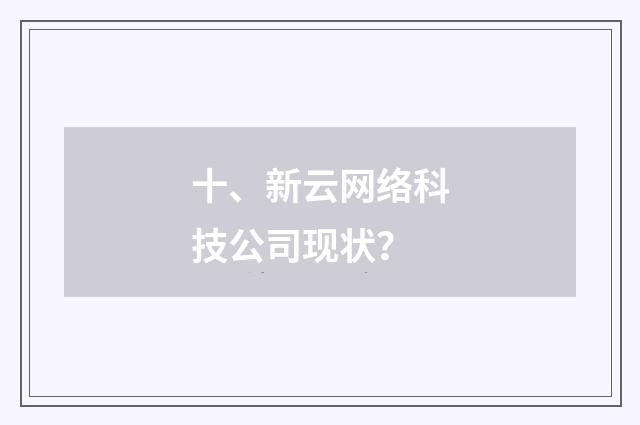 十、新云网络科技公司现状?