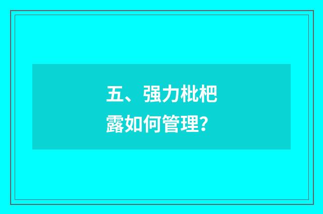 五、强力枇杷露如何管理?