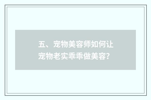 五、宠物美容师如何让宠物老实乖乖做美容？