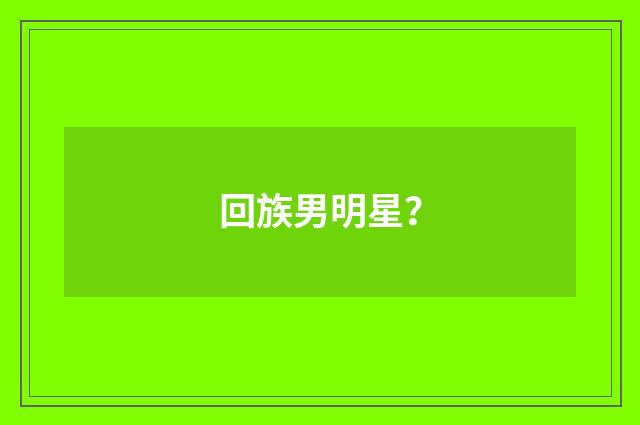 回族男明星?