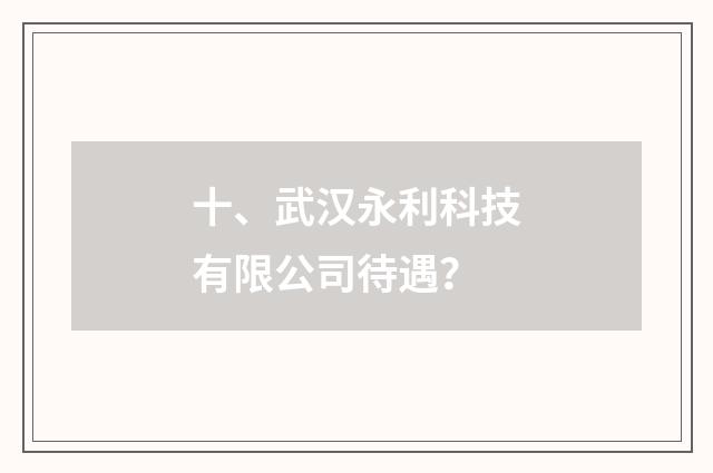 十、武汉永利科技有限公司待遇?