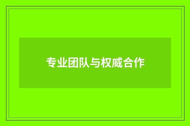 专业团队与权威合作