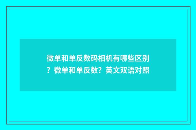 微单和单反数码相机有哪些区别？微单和单反数？英文双语对照
