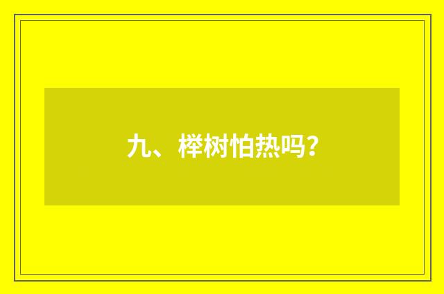 九、榉树怕热吗?