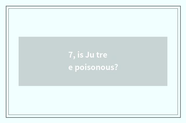 7, is Ju tree poisonous?