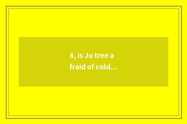 8, is Ju tree afraid of cold?