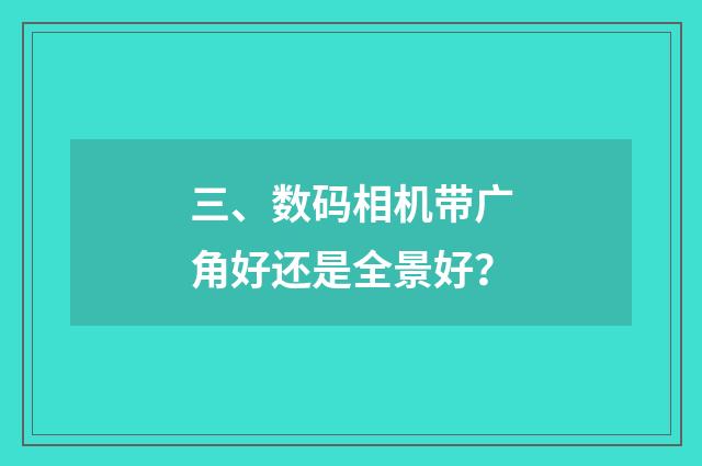 三、数码相机带广角好还是全景好?