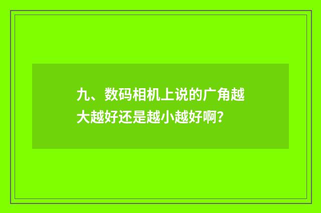 九、数码相机上说的广角越大越好还是越小越好啊?