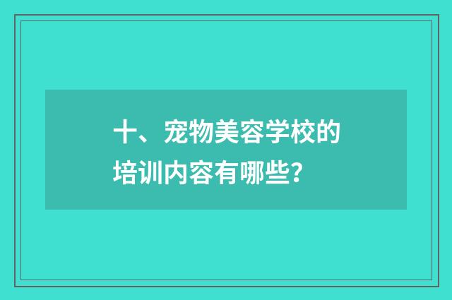 十、宠物美容学校的培训内容有哪些?