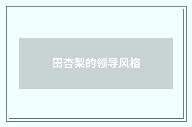 田杏梨的领导风格