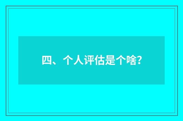 四、个人评估是个啥？