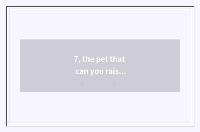 7, the pet that can you raise secretly?