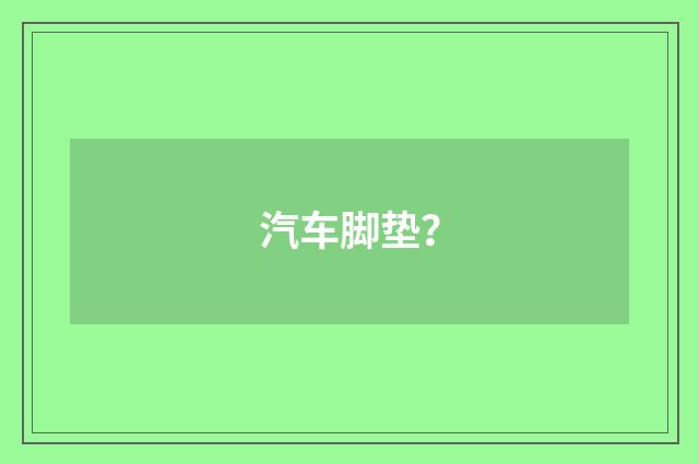 汽车脚垫?