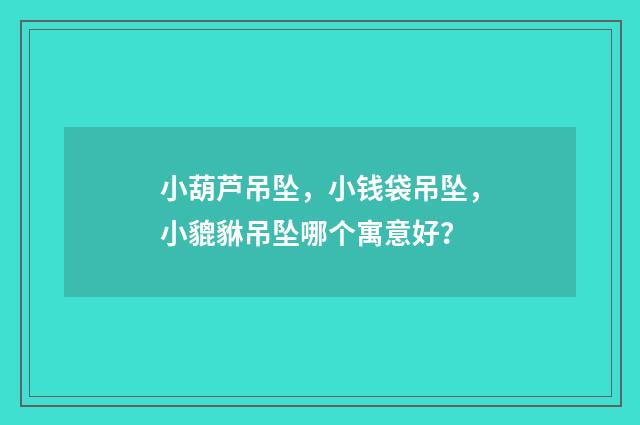 小葫芦吊坠,小钱袋吊坠,小貔貅吊坠哪个寓意好?
