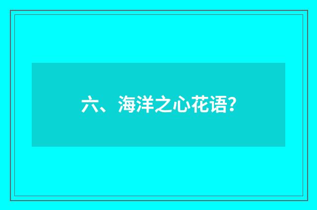 六、海洋之心花语？
