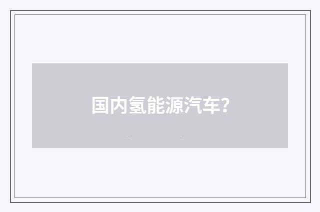 国内氢能源汽车？
