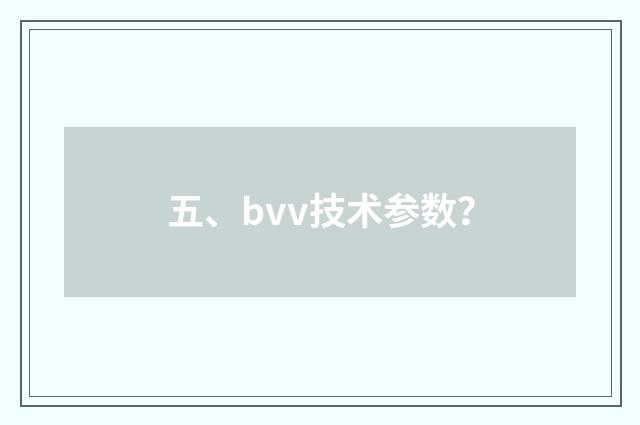 五、bvv技术参数?