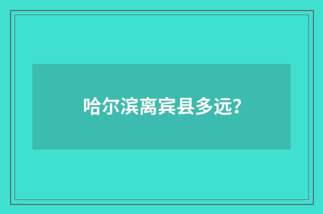 哈尔滨离宾县多远？