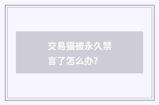 交易猫被永久禁言了怎么办?