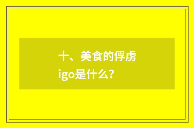 十、美食的俘虏igo是什么?