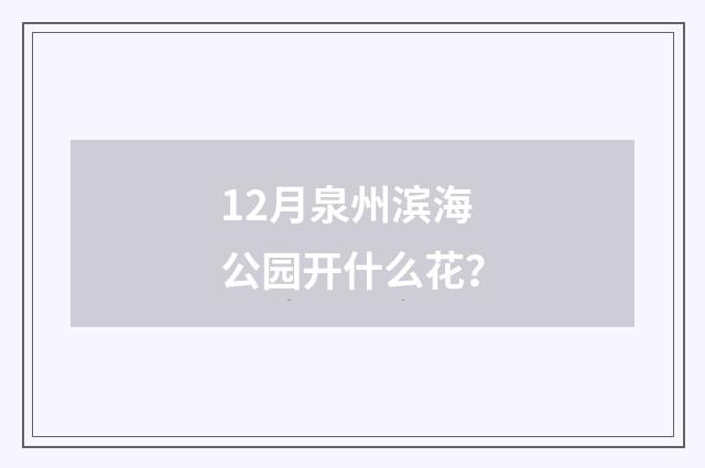 12月泉州滨海公园开什么花？