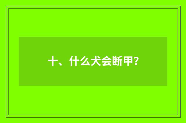 十、什么犬会断甲？