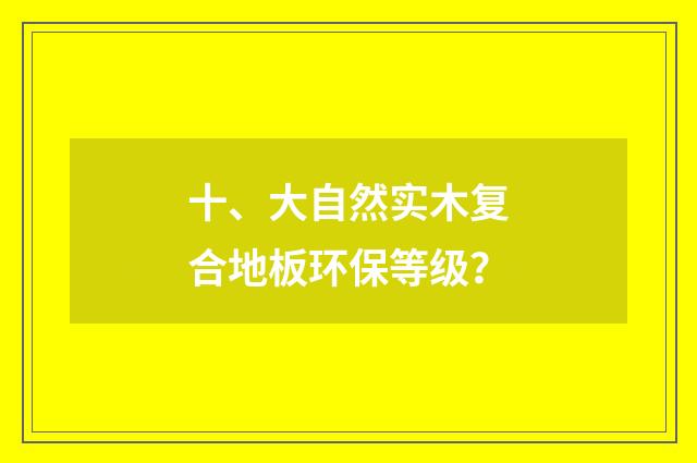 十、大自然实木复合地板环保等级?