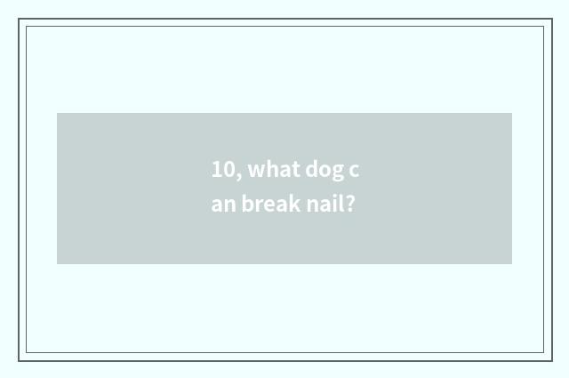 10, what dog can break nail?