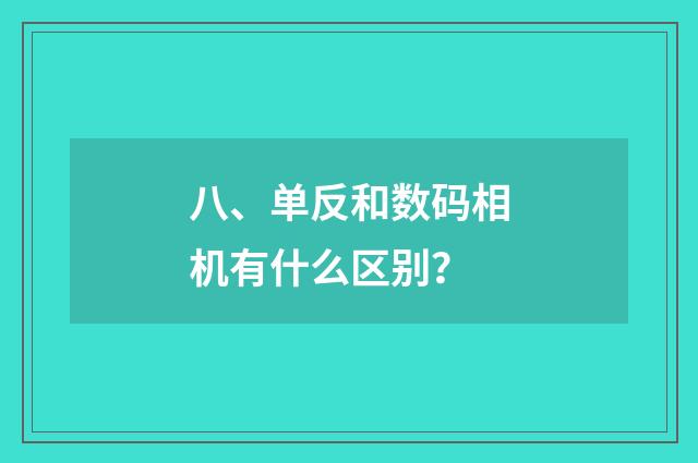 八、单反和数码相机有什么区别？