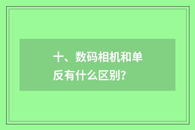 十、数码相机和单反有什么区别?