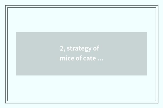 2, strategy of mice of cate big fight?